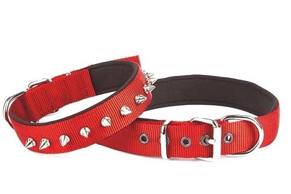 Doggie Comfort Dokuma Çivili Köpek Boyun Tasması Medium Kırmızı 3x42-50 Cm