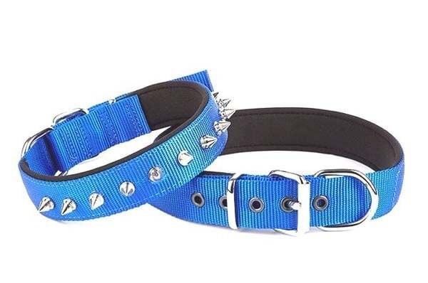 Doggie Comfort Dokuma Çivili Köpek Boyun Tasması Large Mavi 3x47-55 Cm