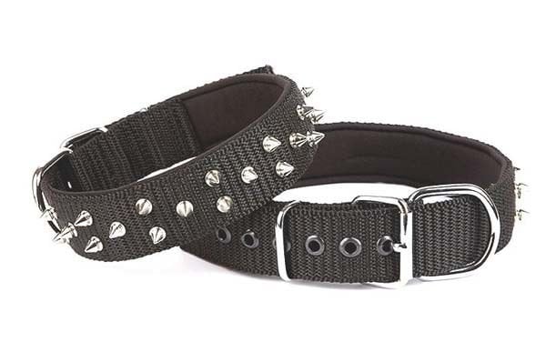 Doggie Comfort Dokuma Çivili Köpek Boyun Tasması Small Siyah 4x47-55 Cm