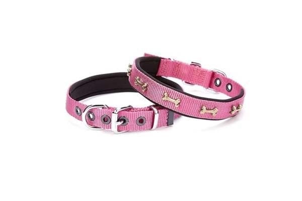 Doggie Comfort Dokuma Kemikli Köpek Boyun Tasması Medium Mor 2x35-40 Cm