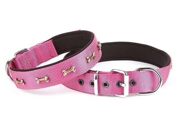 Doggie Comfort Dokuma Kemikli Köpek Boyun Tasması Large Mor 3x47-55 Cm
