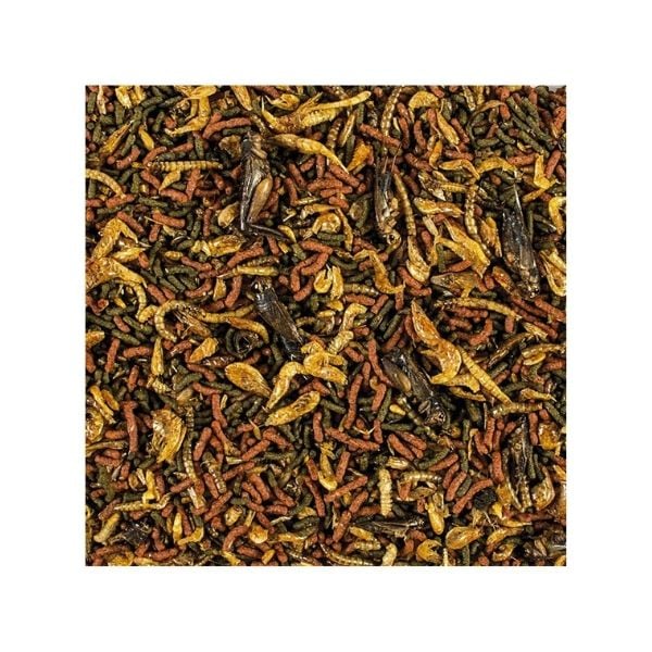 Tropical Softline Carnivore Büyük Yırtıcı Balıklar için Çubuk Balık Yemi 1000 Ml 320 Gr