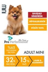Pro Performance Kuzu Etli ve Yaban Mersinli Mini Irk Yetişkin Köpek Maması 2 Kg