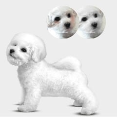 Natures Protection Adult Beyaz Tüylü Küçük Irk Somonlu Yetişkin Köpek Maması 10+2 Kg