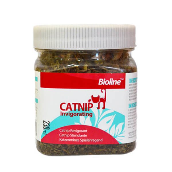 Bioline Catnip Kedi Otu 230 Ml