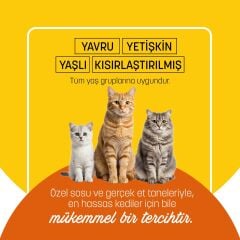 PetzzCats Tavuk Etli Konserve Kedi Maması 1 Adet 70 Gr
