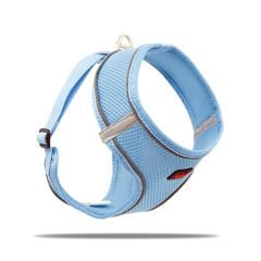 Tailpetz Step İn Göğüs Tasması (M) Mavi