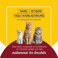 PetzzCats Tavuk & Kalamar Konserve Kedi Maması 1 Adet 70 Gr