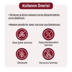 PetzzCats Lezzetli Sos İçinde Tiftiklenmiş Taze Tavuk Etli ve Kalamarlı Konserve Kedi Maması 70 Gr