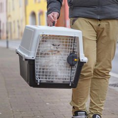 Ferplast Atlas 20 Kedi ve Köpek Taşıma Çantası 37x58x32 Cm