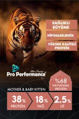 Pro Performance Mother&Baby Somonlu ve Pirinçli Anne ve Yavru Kedi Maması 15 Kg
