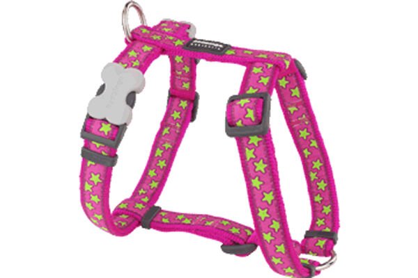 Red Dingo Stars Hot Pembe Lime Yıldızlı Köpek Göğüs Tasması 20 Mm