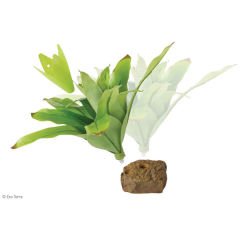 Exo Terra Küçük Teraryum için Plastik Bitki Yeşil 8x8x20 Cm