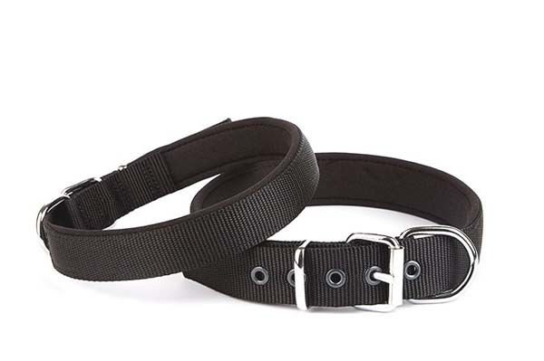 Doggie Comfort Dokuma Köpek Boyun Tasması Medium Siyah 3x42-50 Cm