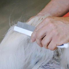 Ferplast GRO 5755 Premium Uzun Tüylü Köpek Kıtık Açıçı Tarak 21.5 Cm