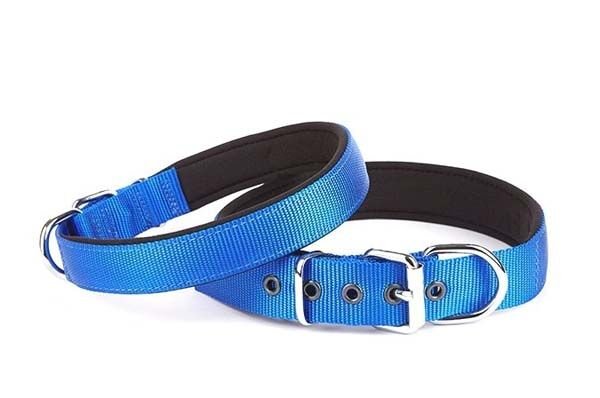Doggie Comfort Dokuma Köpek Boyun Tasması Medium Mavi 3x42-50 Cm
