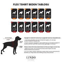 Lindo Dogs Honey Pie Köpek Kıyafeti Tshirt Krem Beden 4