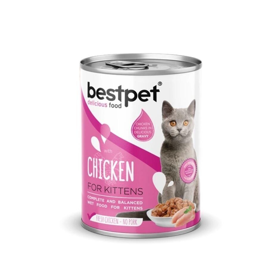 Bestpet Jöle İçinde Parça Etli Tavuklu Konserve Yavru Kedi Maması 400 gr