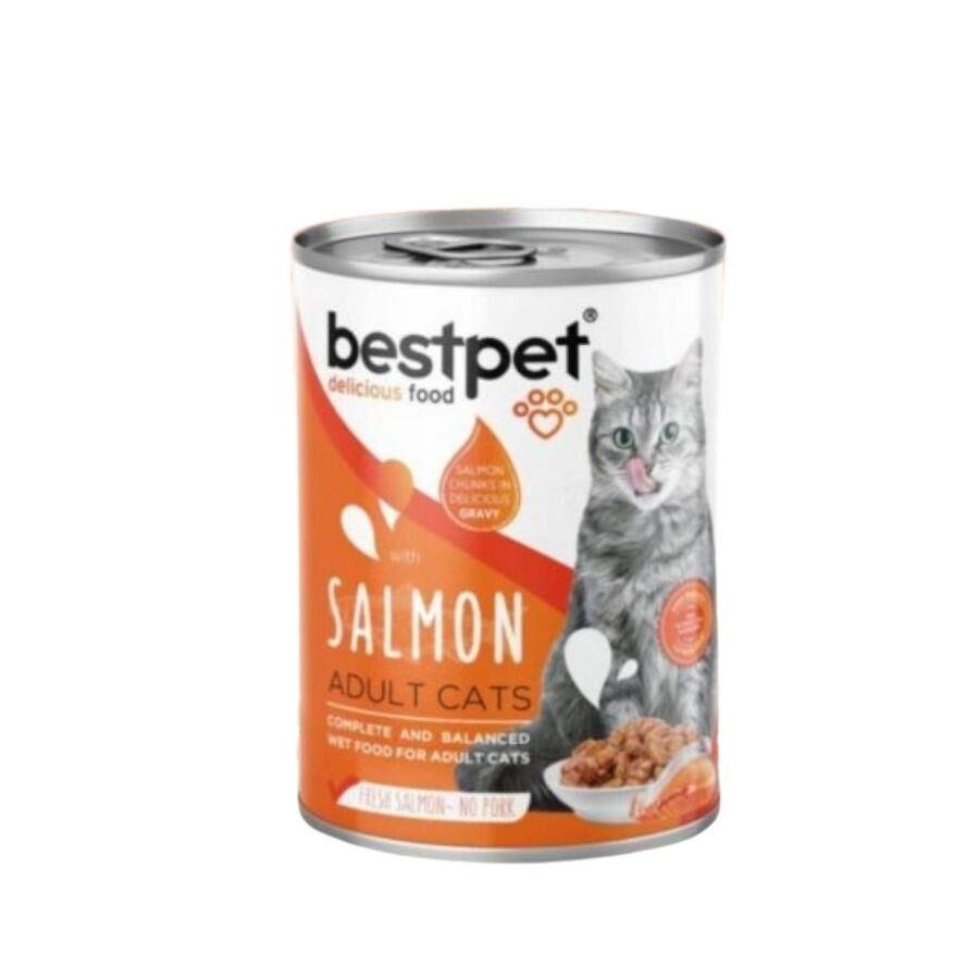 Bestpet Somonlu Yetişkin Kedi Konservesi 400 gr