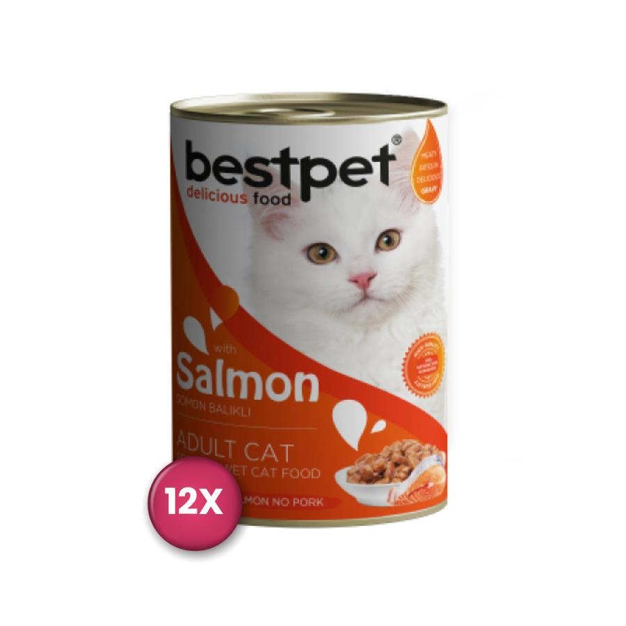 Bestpet Somonlu Yetişkin Kedi Konservesi 400 gr x 12 Adet