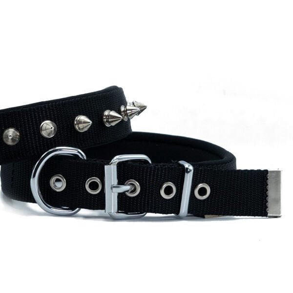 Doggie Comfort Dokuma Çivili Köpek Boyun Tasması Medium Siyah 2.5x37-45 Cm