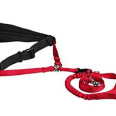 Trixie Köpek Yürüme Koşma Kemeri ve Kayışı Kırmızı