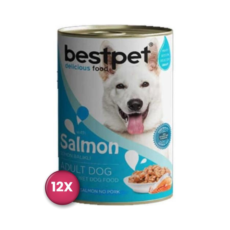 Bestpet Jöle İçinde Parça etli Balıklı Konserve Yetişkin Köpek Maması 400 gr x 12 Adet