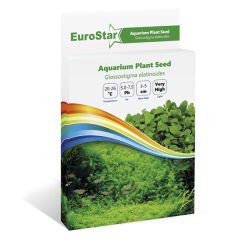 Euro Star Glossostigma Elatinoides Akvaryum Bitki Tohumu 3-5 Cm
