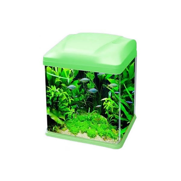 Ebo B226 Mini Fanus Balık Akvaryumu 26x19x32 Cm Yeşil