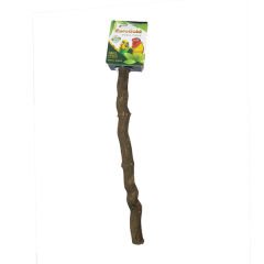 Euro Bird Doğal Sarmaşık Tünek Muhabbet Paraket 25 Cm