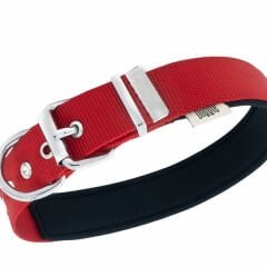 Doggie Comfort Dokuma Çivili Köpek Boyun Tasması Large Kırmızı 3x47-55 Cm