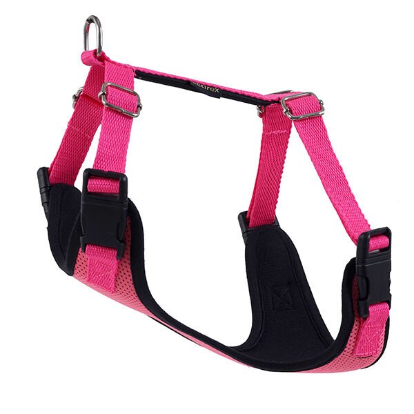 Actirex Neon Cool Köpek Göğüs Tasması Pembe Small 40x45 Cm