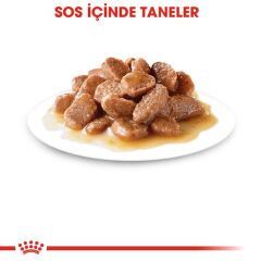 Royal Canin Digest Sensitive Pouch Hassas Kediler İçin Kedi Konservesi 85 gr