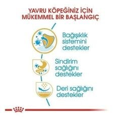 Royal Canin French Bulldog Junior Yavru Köpek Maması 3 Kg