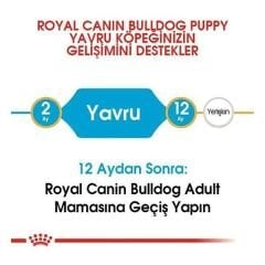 Royal Canin French Bulldog Junior Yavru Köpek Maması 3 Kg