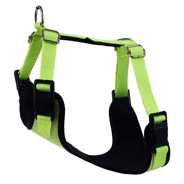 Actirex Neon Cool Köpek Göğüs Tasması Sarı Medium 45x55 Cm