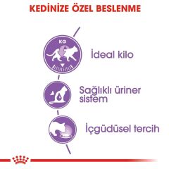 Royal Canin Gravy Pouch Kısırlaştırılmış Kediler İçin Konserve 85 gr