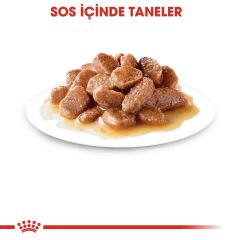 Royal Canin Gravy Pouch Kısırlaştırılmış Kediler İçin Konserve 85 gr
