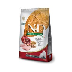 N&D Düşük Tahıllı Tavuklu Orta ve Büyük Irk Yavru Köpek Maması 2.5 Kg