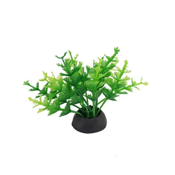 Chicos Plastik Bitki Akvaryum Dekoru 5.6 Cm