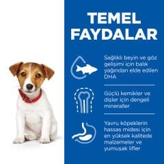 Hills Puppy Small & Miniature Tavuklu Küçük Irk Yavru Köpek Maması 3 Kg