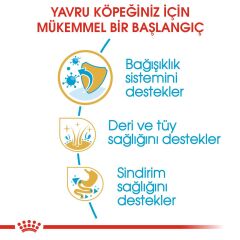 Royal Canin Cocker Puppy Yavru Köpek Maması 3 Kg