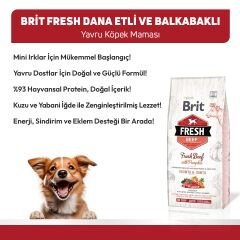 Brit Fresh Sığır Etli ve Balkabaklı Yavru Köpek Maması 2.5 Kg