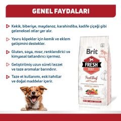 Brit Fresh Sığır Etli ve Balkabaklı Yavru Köpek Maması 2.5 Kg