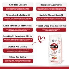 Brit Fresh Sığır Etli ve Balkabaklı Yavru Köpek Maması 2.5 Kg