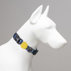 Lindo Dogs Apollo Köpek Boyun Tasması Renkli Small
