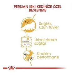 Royal Canin Persian Adult İran Kedisi Pouch Konserve Kedi Maması 1 Adet 85 Gr