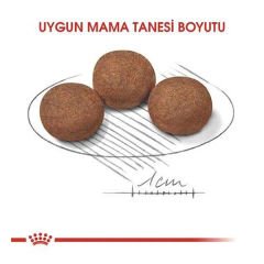 Royal Canin Medium Puppy Yavru Köpek Maması 4 Kg