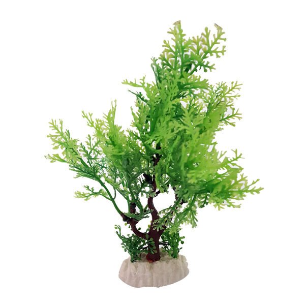 Chicos Plastik Bitki Akvaryum Dekoru 13.4 Cm