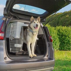 Ferplast Atlas 70 Büyük Irk Köpek Taşıma Çantası Gri 68.5x101x75.5 Cm